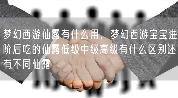 梦幻西游仙露有什么用，梦幻西游宝宝进阶后吃的仙露低级中级高级有什么区别还有不同仙露