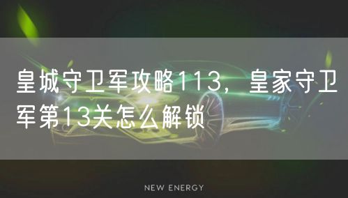 皇城守卫军攻略113,皇家守卫军第13关怎么解锁