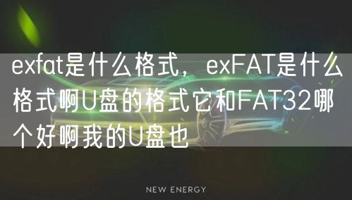 exfat是什么格式，exFAT是什么格式啊U盘的格式它和FAT32哪个好啊我的U盘也