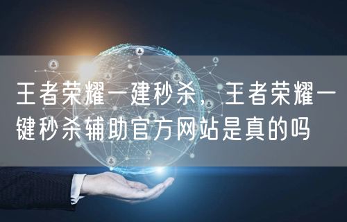 王者荣耀一建秒杀,王者荣耀一键秒杀辅助官方网站是真的吗