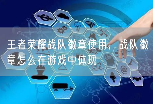 王者荣耀战队徽章使用，战队徽章怎么在游戏中体现