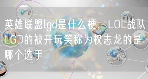 英雄联盟lgd是什么梗，LOL战队LGD的被开玩笑称为权志龙的是哪个选手