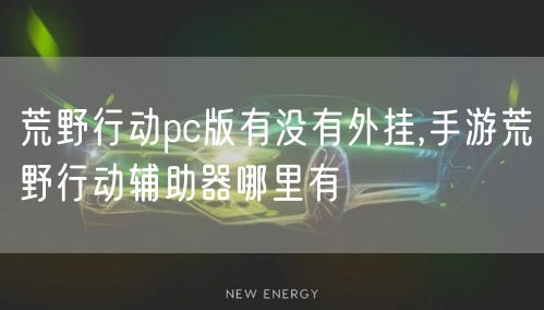 荒野行动pc版有没有外挂,手游荒野行动辅助器哪里有