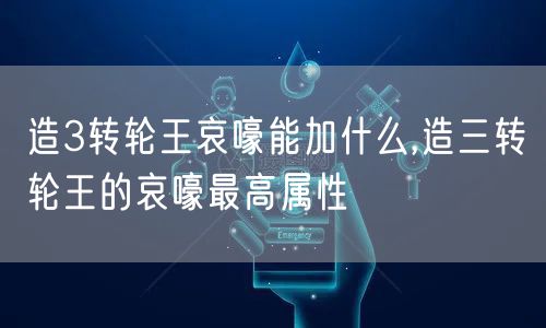 造3转轮王哀嚎能加什么,造三转轮王的哀嚎最高属性
