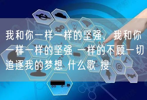 我和你一样一样的坚强，我和你一样一样的坚强 一样的不顾一切追逐我的梦想 什么歌 搜