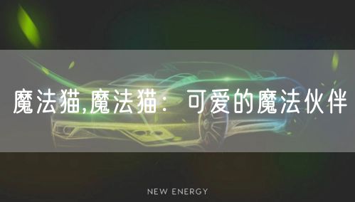 魔法猫,魔法猫：可爱的魔法伙伴