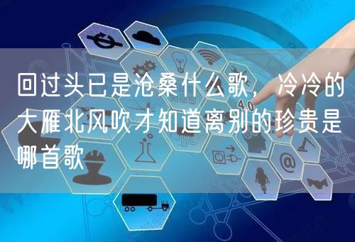 回过头已是沧桑什么歌，冷冷的大雁北风吹才知道离别的珍贵是哪首歌