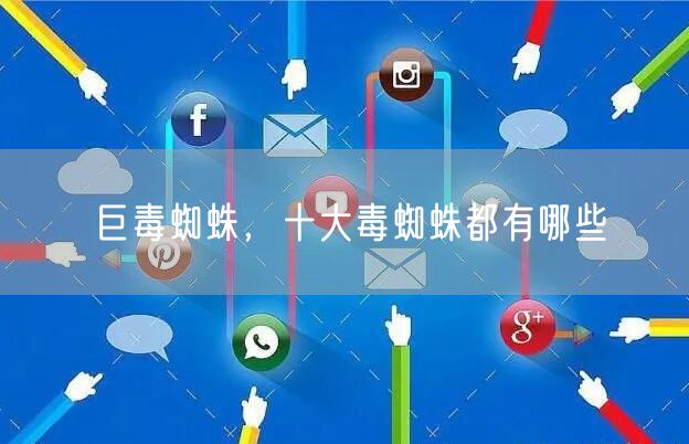 巨毒蜘蛛，十大毒蜘蛛都有哪些