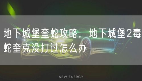 地下城堡奎蛇攻略,地下城堡2毒蛇奎克没打过怎么办