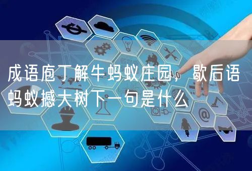 成语庖丁解牛蚂蚁庄园，歇后语 蚂蚁撼大树下一句是什么