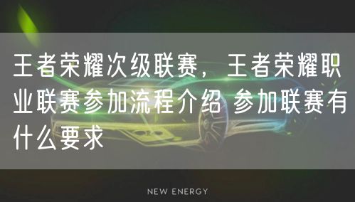 王者荣耀次级联赛，王者荣耀职业联赛参加流程介绍 参加联赛有什么要求