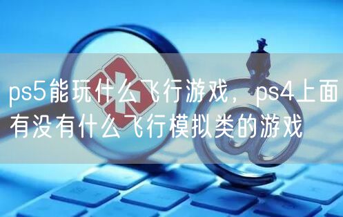 ps5能玩什么飞行游戏，ps4上面有没有什么飞行模拟类的游戏
