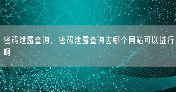 密码泄露查询，密码泄露查询去哪个网站可以进行啊