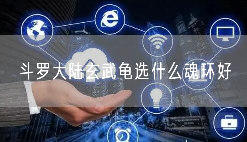 斗罗大陆玄武龟选什么魂环好