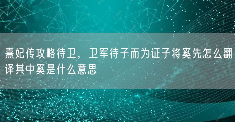 熹妃传攻略待卫，卫军待子而为证子将奚先怎么翻译其中奚是什么意思