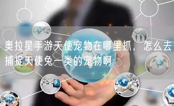 奥拉星手游天使宠物在哪里抓，怎么去捕捉天使兔一类的宠物啊
