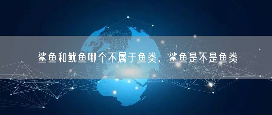 鲨鱼和鱿鱼哪个不属于鱼类，鲨鱼是不是鱼类