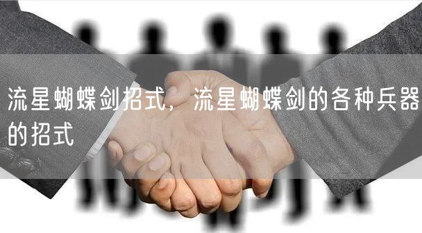 流星蝴蝶剑招式，流星蝴蝶剑的各种兵器的招式