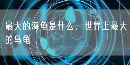 最大的海龟是什么，世界上最大的乌龟