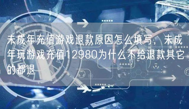 未成年充值游戏退款原因怎么填写，未成年玩游戏充值12980为什么不给退款其它的都退