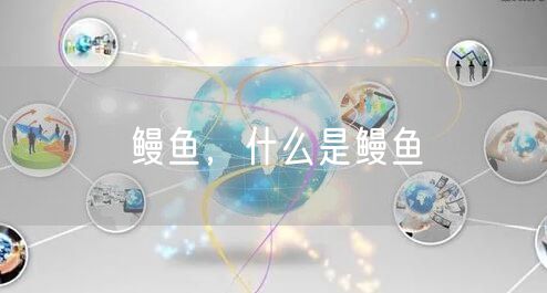 鳗鱼，什么是鳗鱼