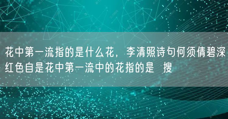 花中第一流指的是什么花，李清照诗句何须倩碧深红色自是花中第一流中的花指的是  搜