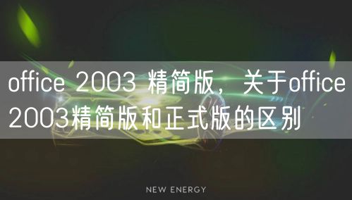 office 2003 精简版，关于office2003精简版和正式版的区别
