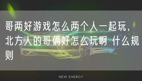 哥两好游戏怎么两个人一起玩，北方人的哥俩好怎么玩啊 什么规则