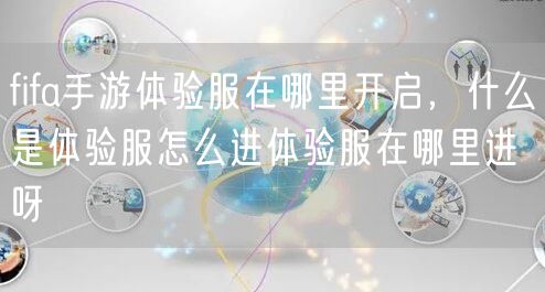 fifa手游体验服在哪里开启，什么是体验服怎么进体验服在哪里进呀