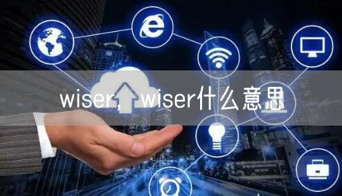 wiser，wiser什么意思