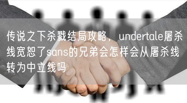 传说之下杀戮结局攻略，undertale屠杀线宽恕了sans的兄弟会怎样会从屠杀线转为中立线吗
