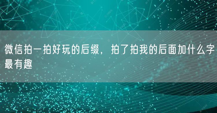 微信拍一拍好玩的后缀，拍了拍我的后面加什么字最有趣