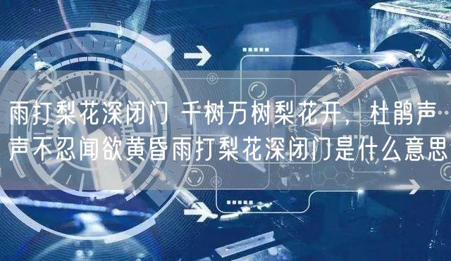 雨打梨花深闭门 千树万树梨花开，杜鹃声声不忍闻欲黄昏雨打梨花深闭门是什么意思