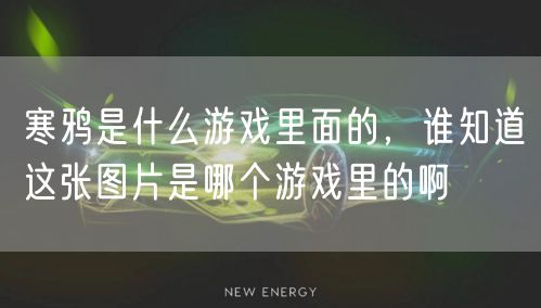 寒鸦是什么游戏里面的，谁知道这张图片是哪个游戏里的啊