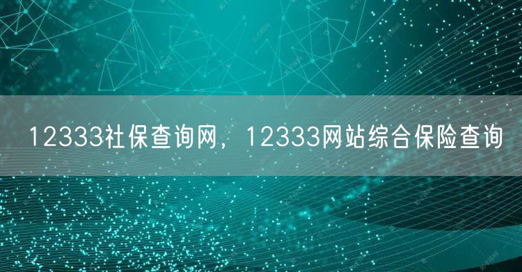 12333社保查询网，12333网站综合保险查询