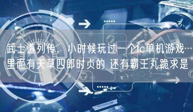 武士道列传，小时候玩过一个fc单机游戏 里面有天草四郎时贞的 还有霸王丸跪求是