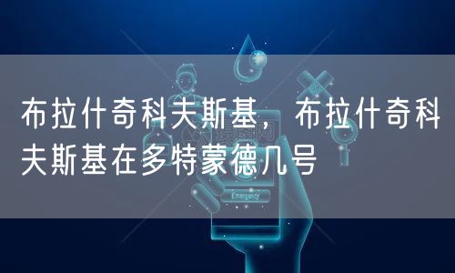 布拉什奇科夫斯基，布拉什奇科夫斯基在多特蒙德几号