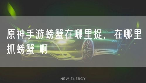 原神手游螃蟹在哪里捉,在哪里抓螃蟹 啊