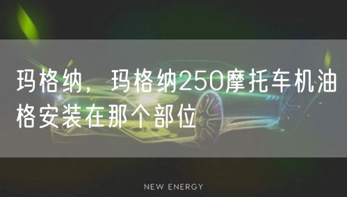 玛格纳，玛格纳250摩托车机油格安装在那个部位
