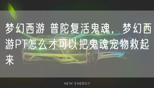 梦幻西游 普陀复活鬼魂，梦幻西游PT怎么才可以把鬼魂宠物救起来