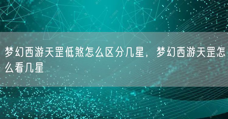 梦幻西游天罡低煞怎么区分几星，梦幻西游天罡怎么看几星