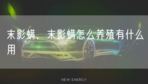 末影螨，末影螨怎么养殖有什么用