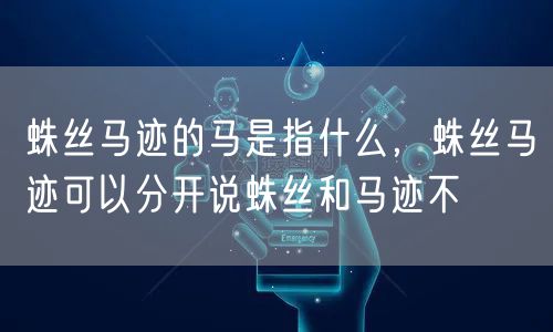 蛛丝马迹的马是指什么，蛛丝马迹可以分开说蛛丝和马迹不