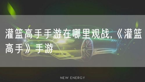 灌篮高手手游在哪里观战,《灌篮高手》手游