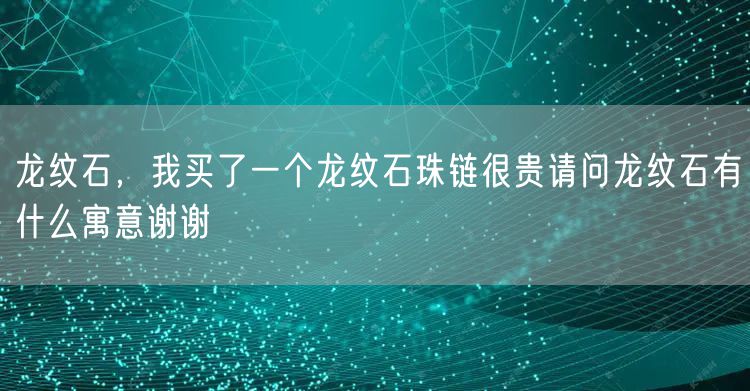 龙纹石，我买了一个龙纹石珠链很贵请问龙纹石有什么寓意谢谢
