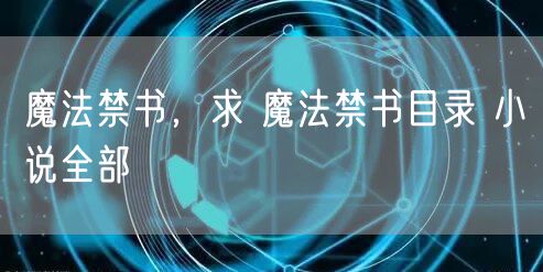 魔法禁书,求 魔法禁书目录 小说全部