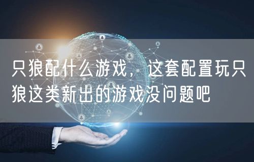 只狼配什么游戏，这套配置玩只狼这类新出的游戏没问题吧