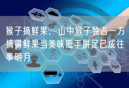 猴子摘鲜果，山中猴子独占一方摘得鲜果当美味胝手胼足己成往事明月
