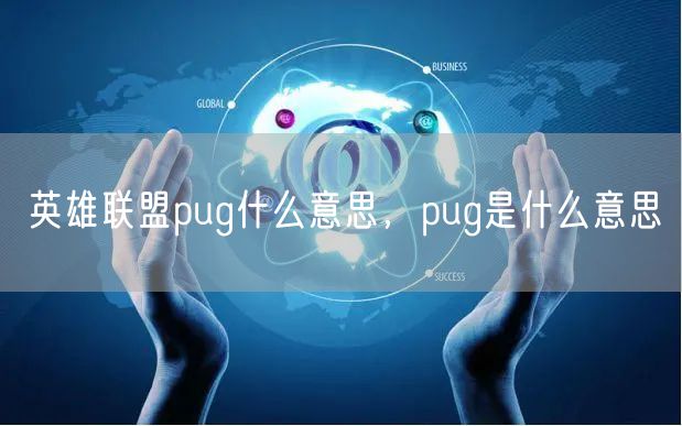 英雄联盟pug什么意思,pug是什么意思
