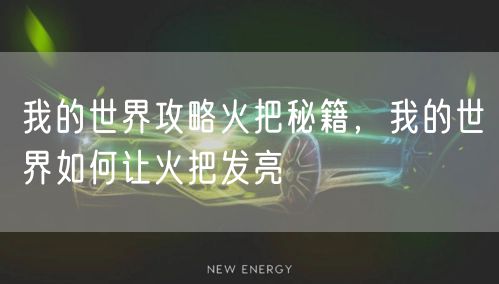 我的世界攻略火把秘籍，我的世界如何让火把发亮